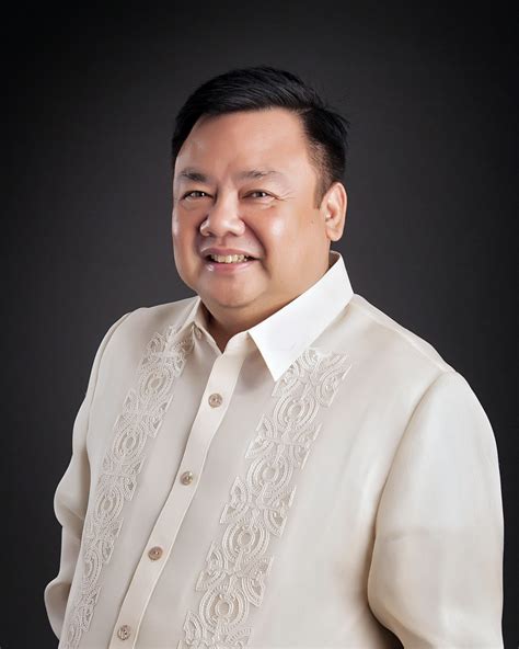 iloilo city councilors|Our Mayor .